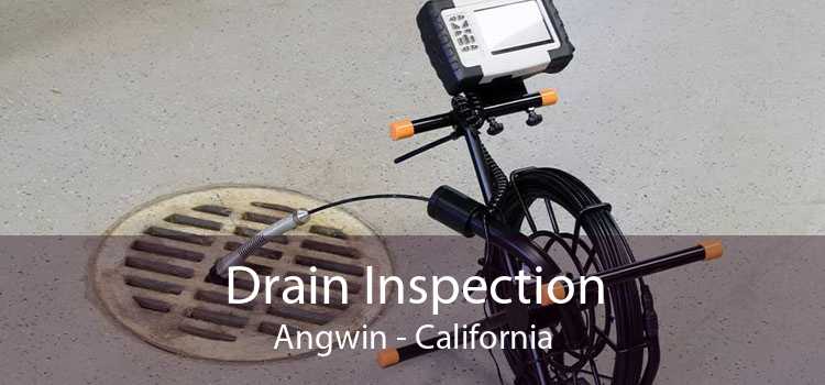 Drain Inspection Angwin - California