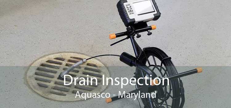 Drain Inspection Aquasco - Maryland