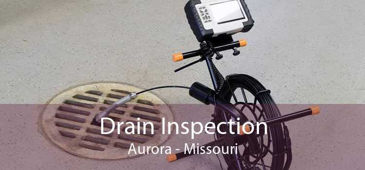 Drain Inspection Aurora - Missouri