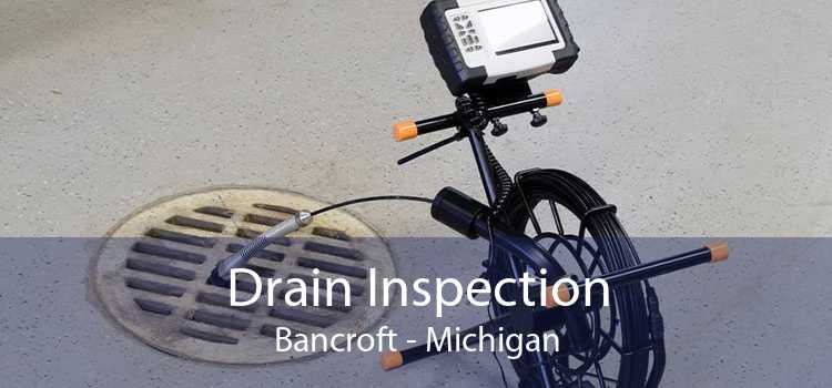 Drain Inspection Bancroft - Michigan