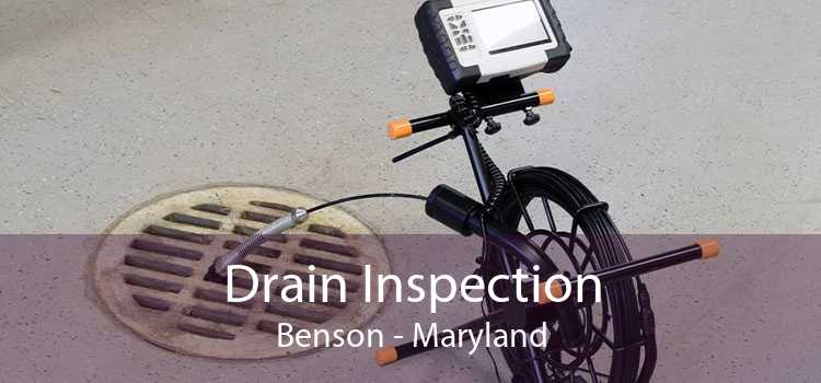 Drain Inspection Benson - Maryland