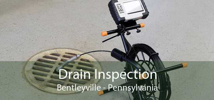 Drain Inspection Bentleyville - Pennsylvania