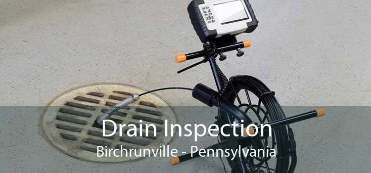 Drain Inspection Birchrunville - Pennsylvania