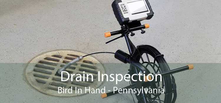 Drain Inspection Bird In Hand - Pennsylvania