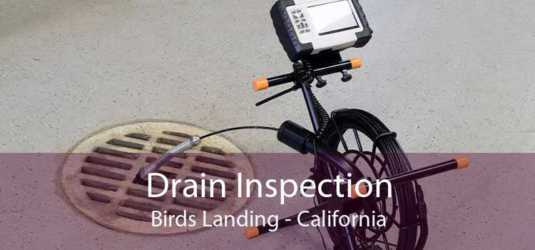 Drain Inspection Birds Landing - California