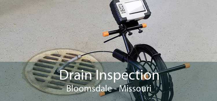 Drain Inspection Bloomsdale - Missouri