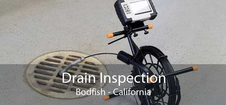Drain Inspection Bodfish - California