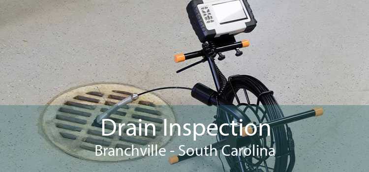 Drain Inspection Branchville - South Carolina