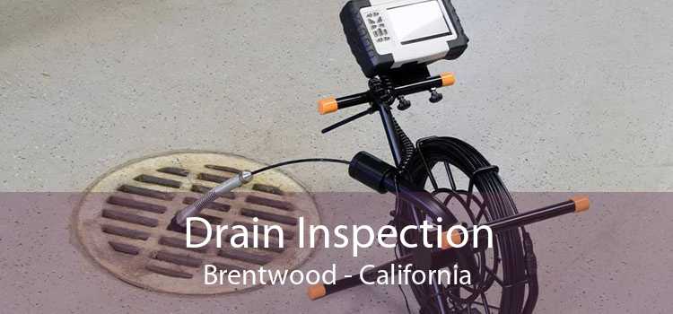 Drain Inspection Brentwood - California