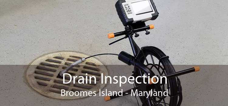 Drain Inspection Broomes Island - Maryland