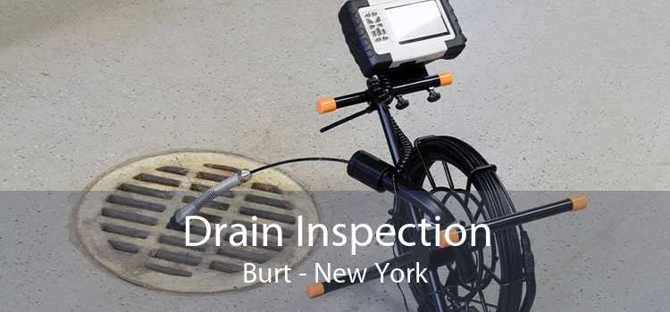 Drain Inspection Burt - New York