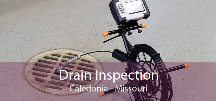 Drain Inspection Caledonia - Missouri
