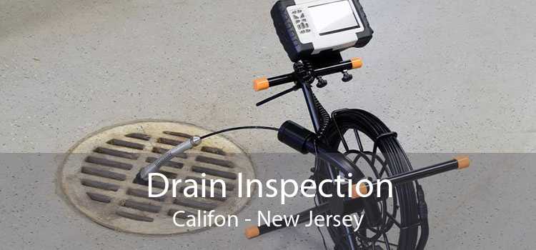 Drain Inspection Califon - New Jersey