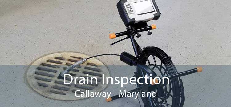 Drain Inspection Callaway - Maryland