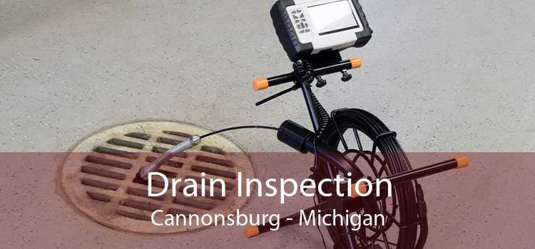 Drain Inspection Cannonsburg - Michigan