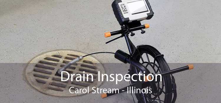 Drain Inspection Carol Stream - Illinois