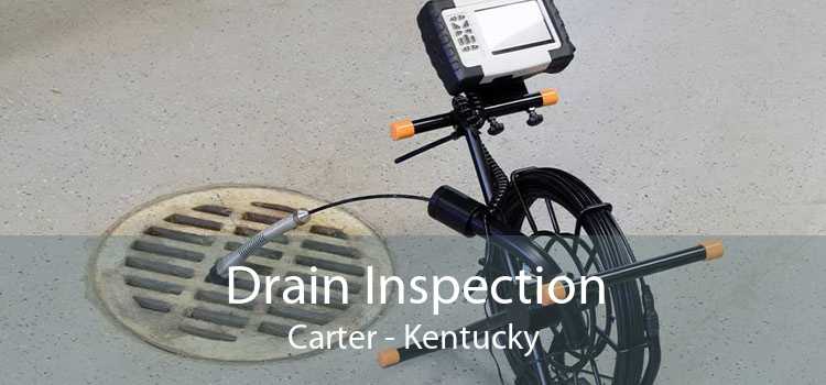 Drain Inspection Carter - Kentucky