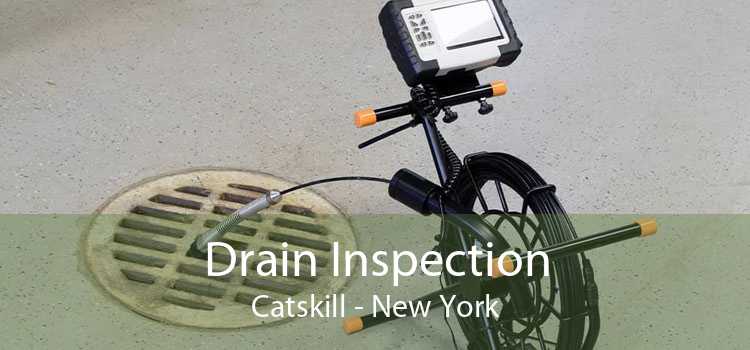 Drain Inspection Catskill - New York