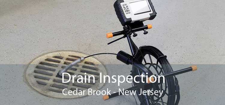 Drain Inspection Cedar Brook - New Jersey