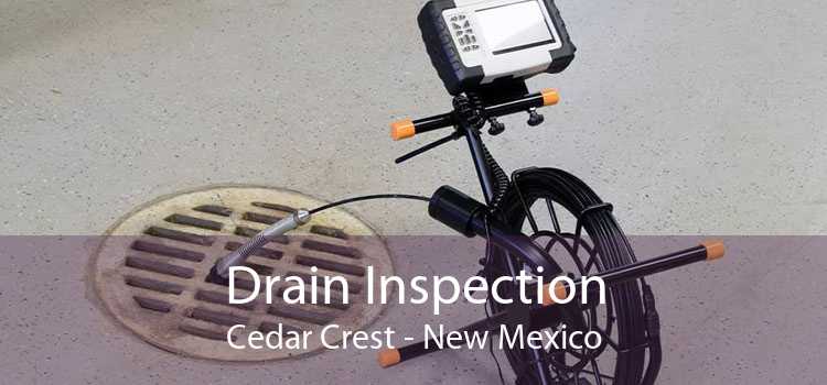 Drain Inspection Cedar Crest - New Mexico