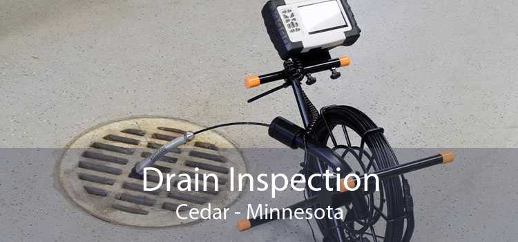 Drain Inspection Cedar - Minnesota
