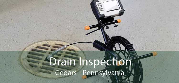 Drain Inspection Cedars - Pennsylvania