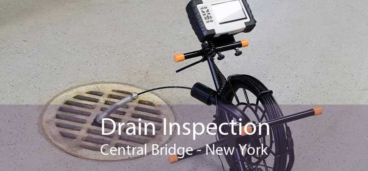 Drain Inspection Central Bridge - New York