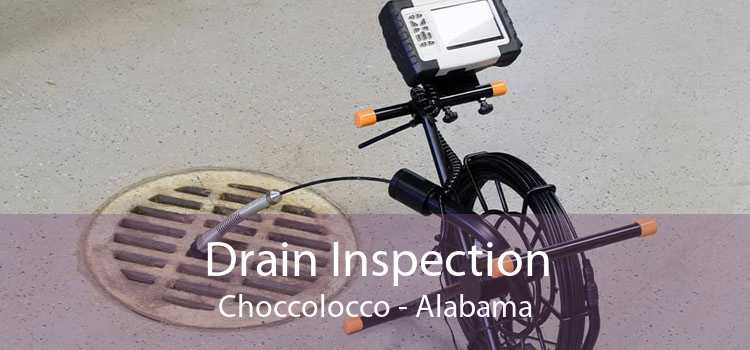 Drain Inspection Choccolocco - Alabama