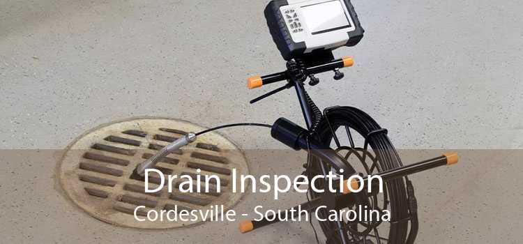 Drain Inspection Cordesville - South Carolina