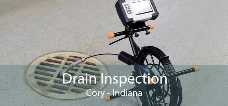 Drain Inspection Cory - Indiana