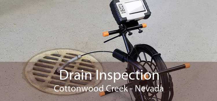 Drain Inspection Cottonwood Creek - Nevada