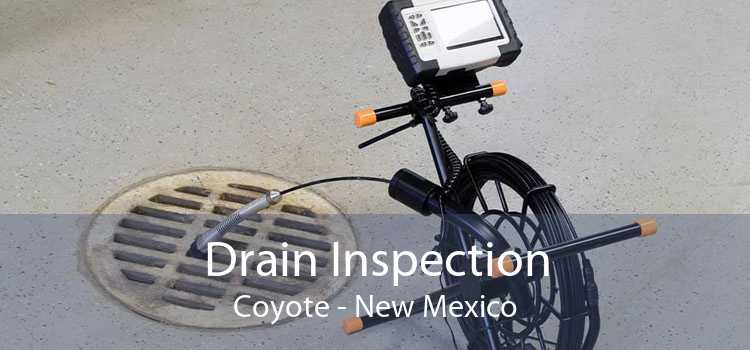 Drain Inspection Coyote - New Mexico