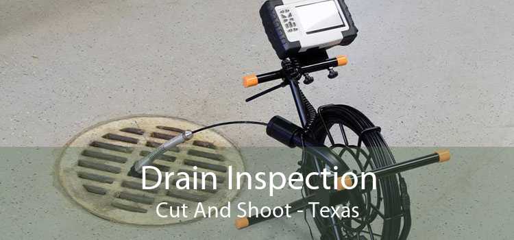 Drain Inspection Cut And Shoot - Texas