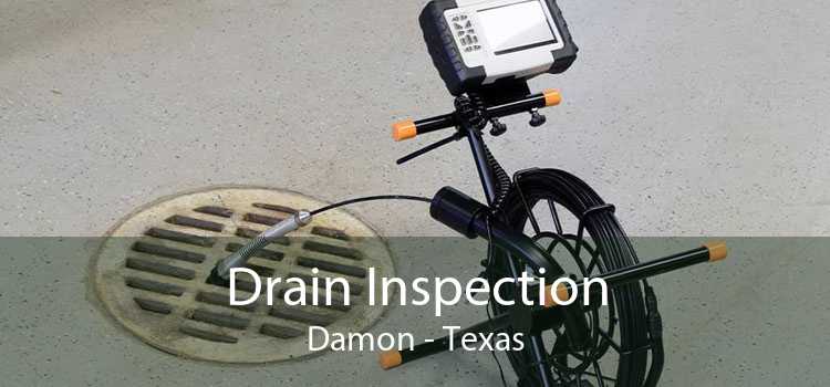 Drain Inspection Damon - Texas