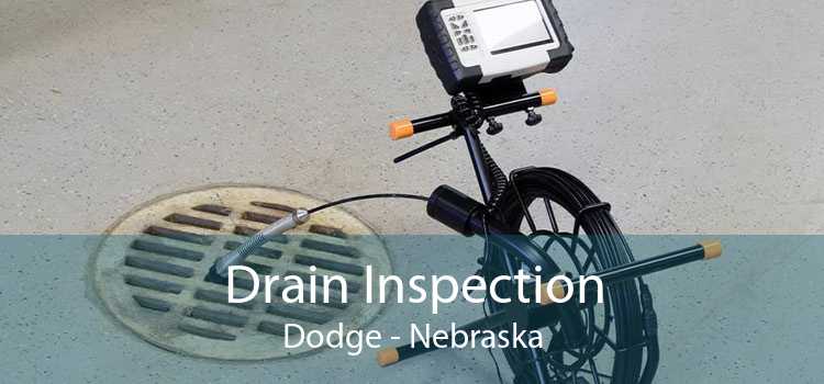 Drain Inspection Dodge - Nebraska