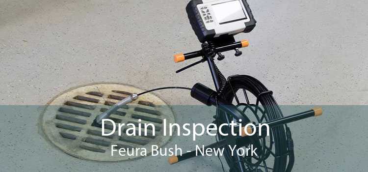 Drain Inspection Feura Bush - New York