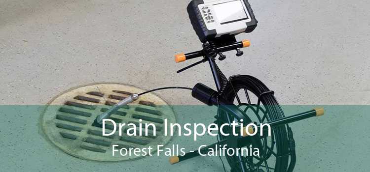 Drain Inspection Forest Falls - California