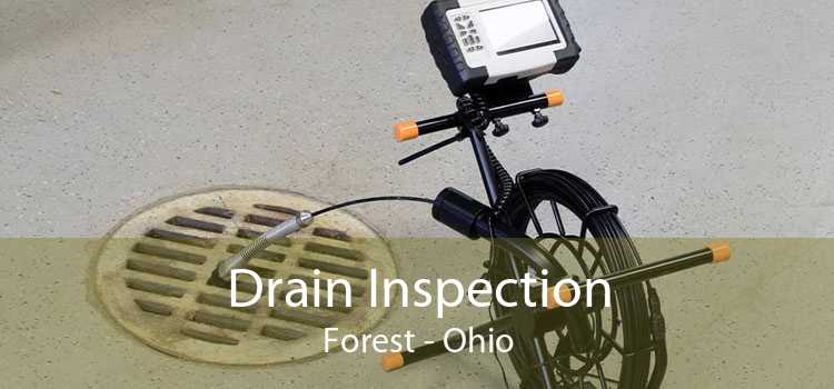 Drain Inspection Forest - Ohio