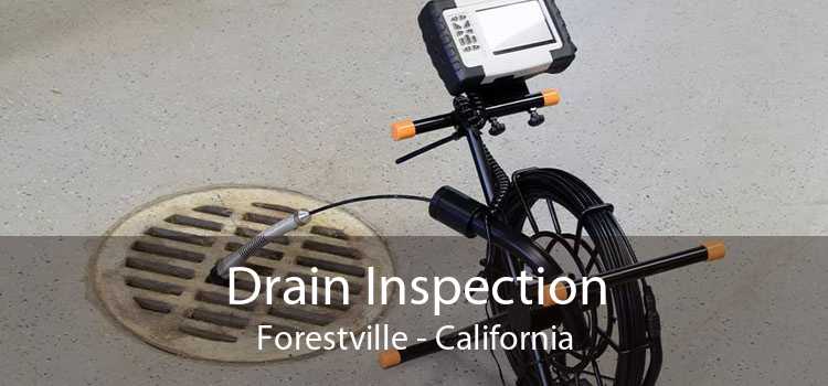 Drain Inspection Forestville - California