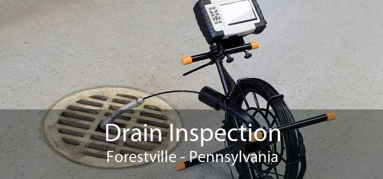 Drain Inspection Forestville - Pennsylvania