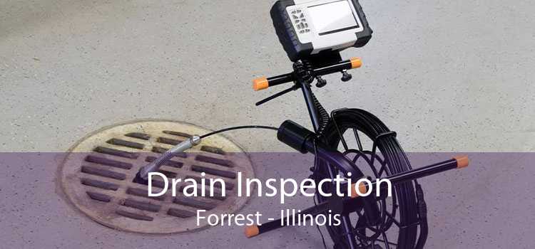 Drain Inspection Forrest - Illinois