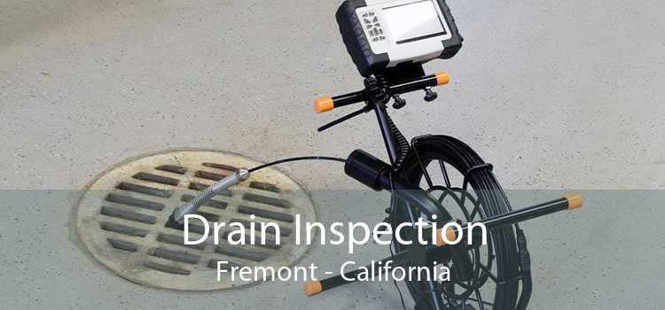 Drain Inspection Fremont - California