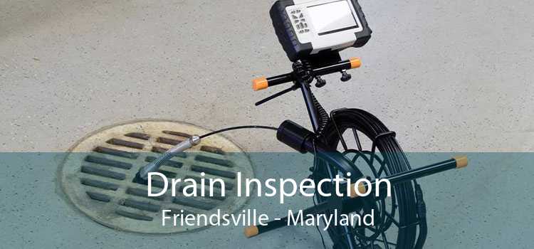 Drain Inspection Friendsville - Maryland