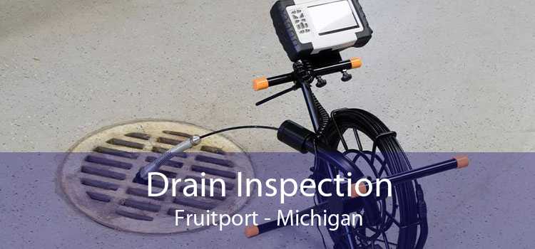 Drain Inspection Fruitport - Michigan
