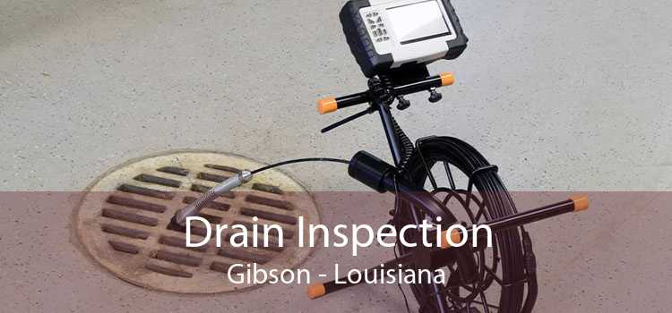 Drain Inspection Gibson - Louisiana