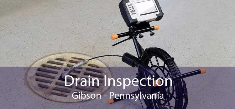 Drain Inspection Gibson - Pennsylvania