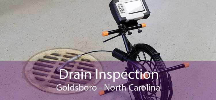 Drain Inspection Goldsboro - North Carolina