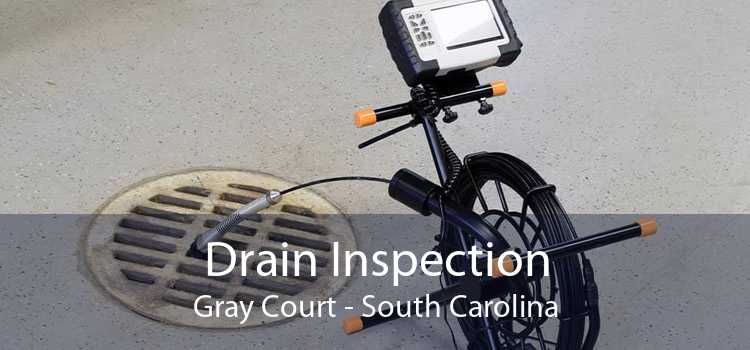 Drain Inspection Gray Court - South Carolina