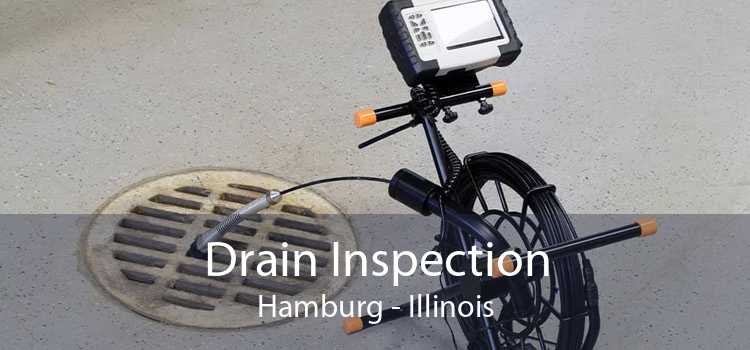 Drain Inspection Hamburg - Illinois