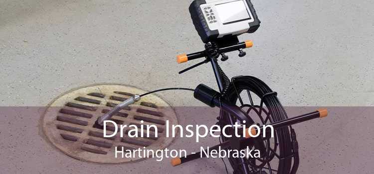 Drain Inspection Hartington - Nebraska